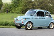 Braunsbergoldies 294