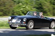 Braunsbergoldies 489