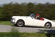 Braunsbergoldies 494
