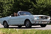 Braunsbergoldies 779