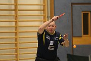 bl_floetz_2013_208