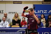 cl_finale_2013_250