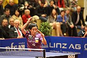 cl_finale_2013_343