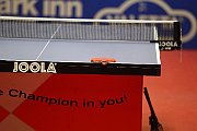 cl_finale_2013_432