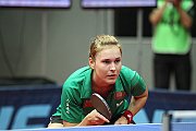 ech2013 d02 176