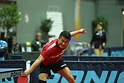 ech2013 d08 294
