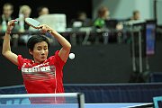 ech2013 d08 404